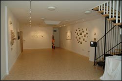 Ã¢â‚¬ËœEndangeredÃ¢â‚¬â„¢ exhibition at new arts office space, august 2004